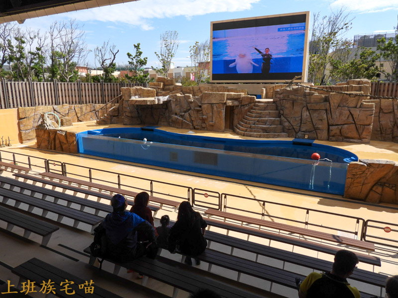 【桃園景點】Xpark水族館｜都市叢林中的美豔展館，企鵝、海豹、魚兒都盡情觀賞