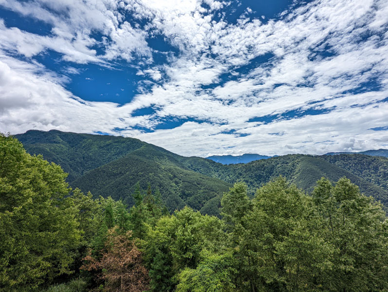 【武陵農場】雪山登山口｜懶人也想俯拍壯闊山景，開車就能到的絕佳觀景平台