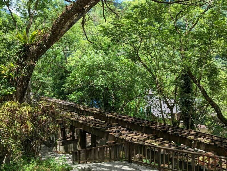 【花蓮鳳林】林田山林業文化園區｜走訪日治時期的四大林場，看那陳年老木與流失歲月｜咖啡