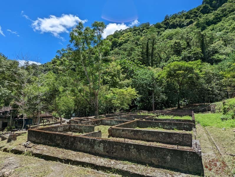 【花蓮鳳林】林田山林業文化園區｜走訪日治時期的四大林場，看那陳年老木與流失歲月｜咖啡